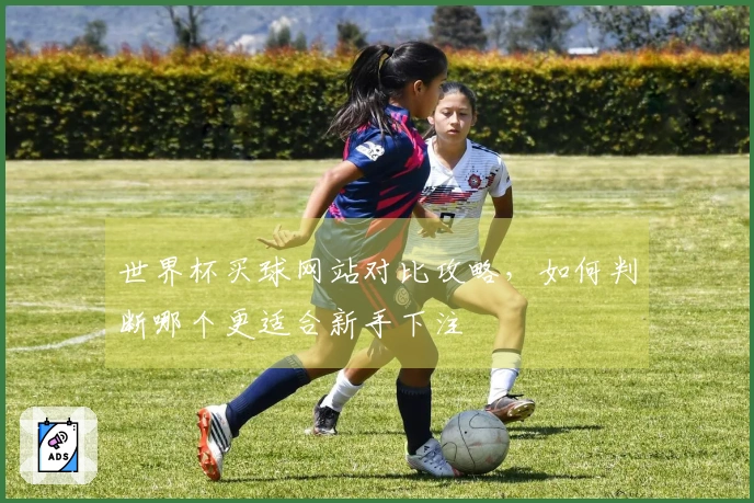 世界杯买球网站对比攻略，如何判断哪个更适合新手下注