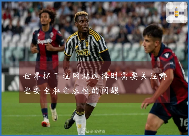 世界杯下注网站选择时需要关注哪些安全和合法性的问题